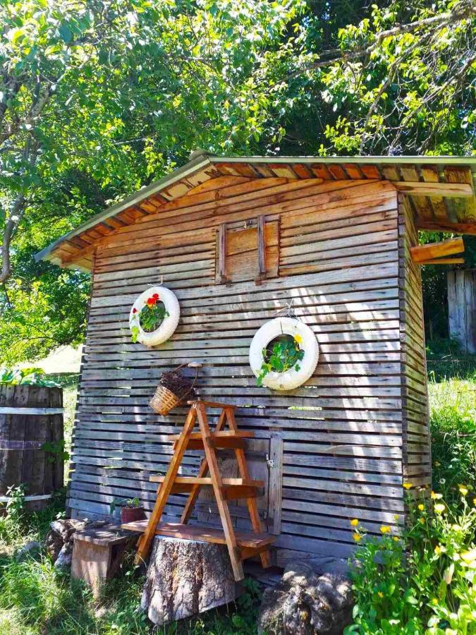 Household Babovic - Old House Miljan'S Valley Andrijevica Dış mekan fotoğraf