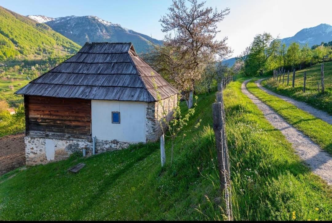 Household Babovic - Old House Miljan'S Valley Andrijevica Dış mekan fotoğraf