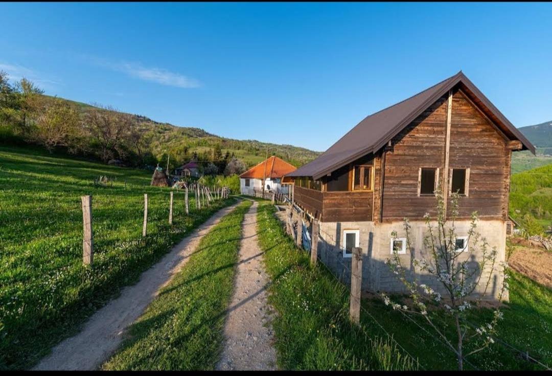 Household Babovic - Old House Miljan'S Valley Andrijevica Dış mekan fotoğraf