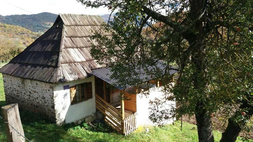 Household Babovic - Old House Miljan'S Valley Andrijevica Dış mekan fotoğraf